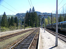 min 377 23.jpg min 377 23.jpg